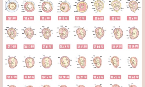 严重失眠吃什么药才不会有副作用网—知名的严重失眠用什么药好网站,分享严重失眠吃什么最好最快知识